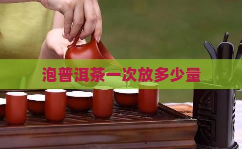 泡普洱茶一次放多少量