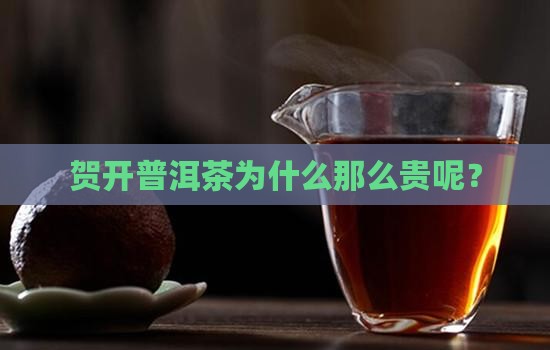 贺开普洱茶为什么那么贵