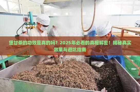 堡甘茶的功效是真的吗