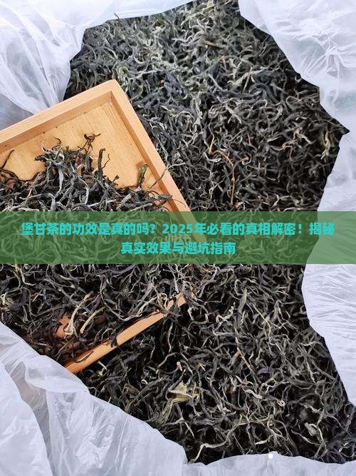 堡甘茶的功效是真的吗