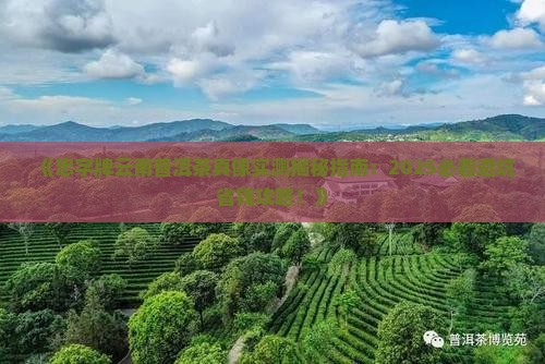 忠字牌云南普洱茶