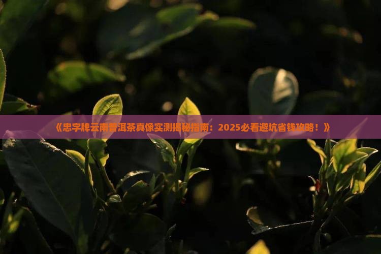 忠字牌云南普洱茶