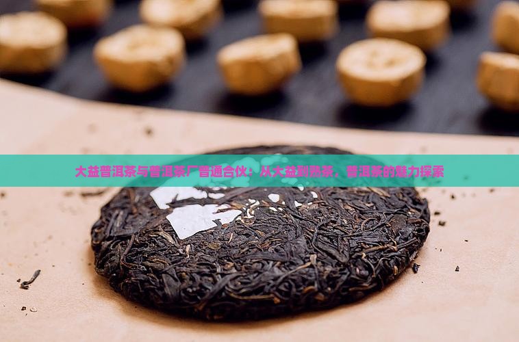 大益普洱茶和茶厂普通合伙