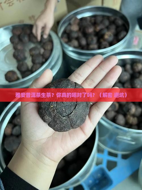 雅安普洱茶生茶