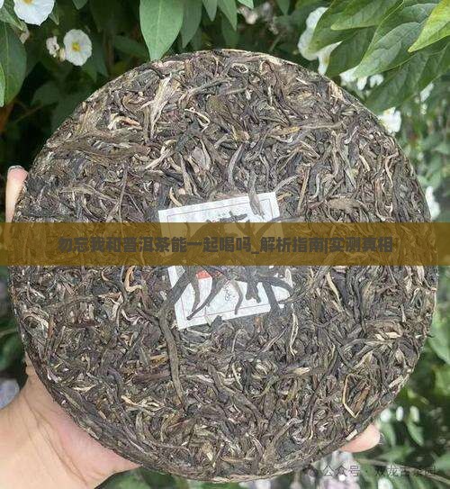 勿忘我和普洱茶能一起喝吗