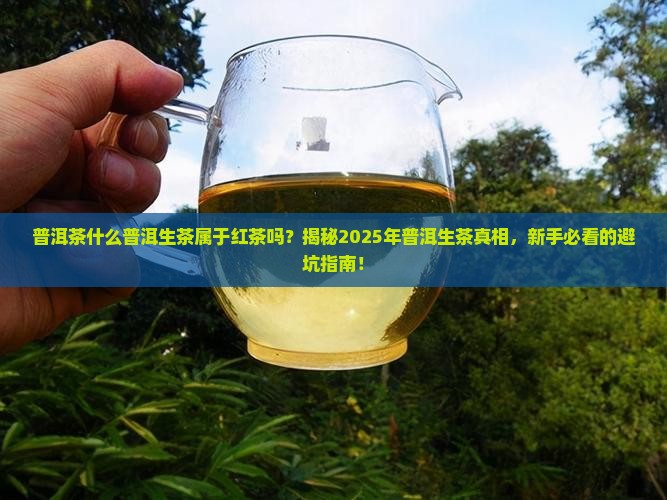 普洱茶什么普洱生茶属于红茶吗