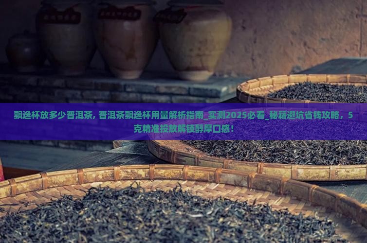 飘逸杯放多少普洱茶