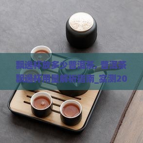 飘逸杯放多少普洱茶