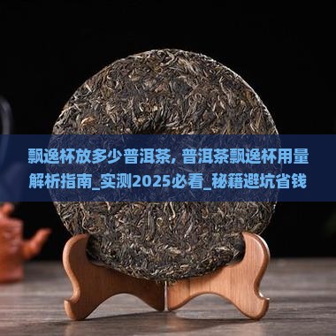飘逸杯放多少普洱茶