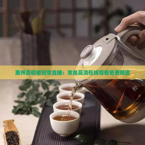惠州圣和老班章直播