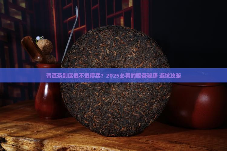 普洱茶的宣传彩页