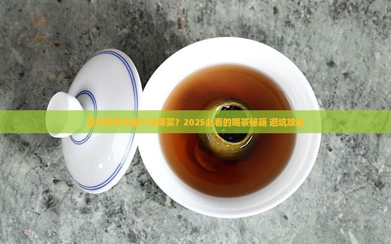 普洱茶的宣传彩页