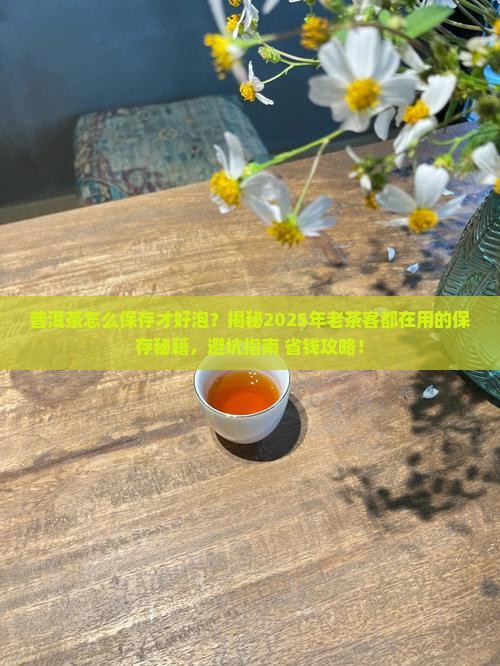 普洱茶怎么保存才好泡