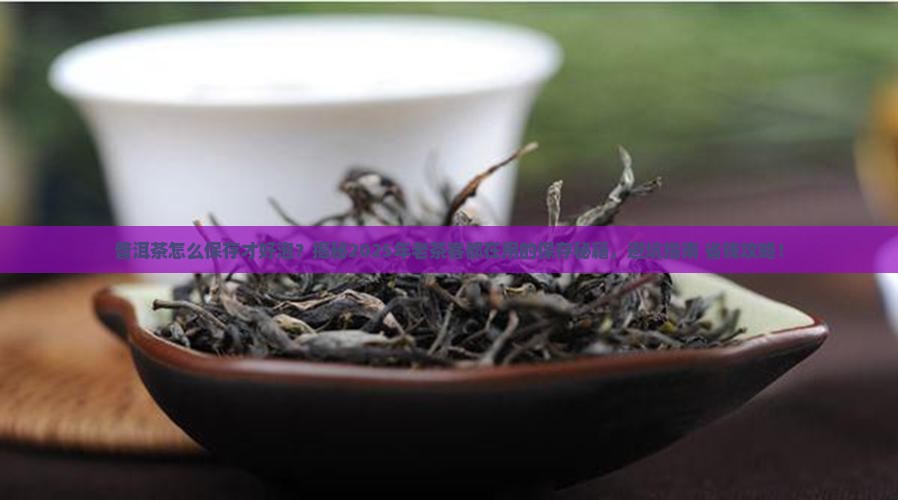 普洱茶怎么保存才好泡