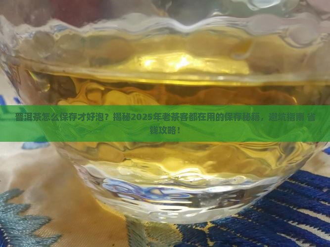 普洱茶怎么保存才好泡