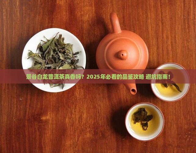 景谷白龙普洱茶好吗