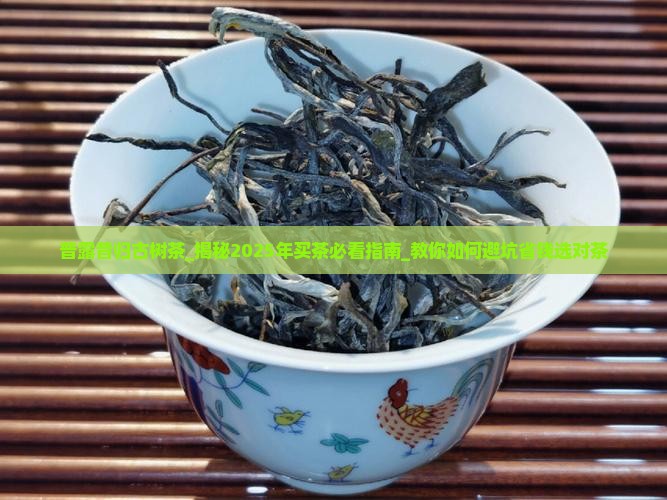 普露昔归古树茶