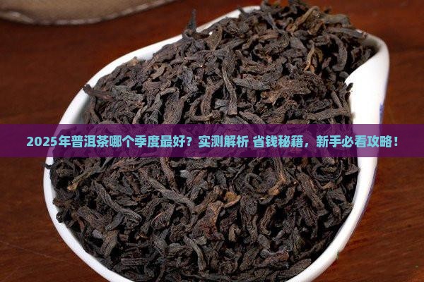 哪个季度普洱茶好