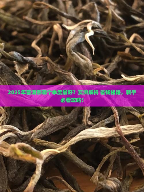 哪个季度普洱茶好