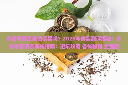 永福号普洱茶怎么样