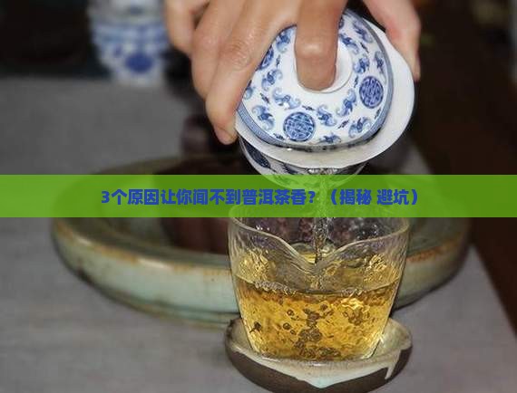 普洱茶香气的决定因素