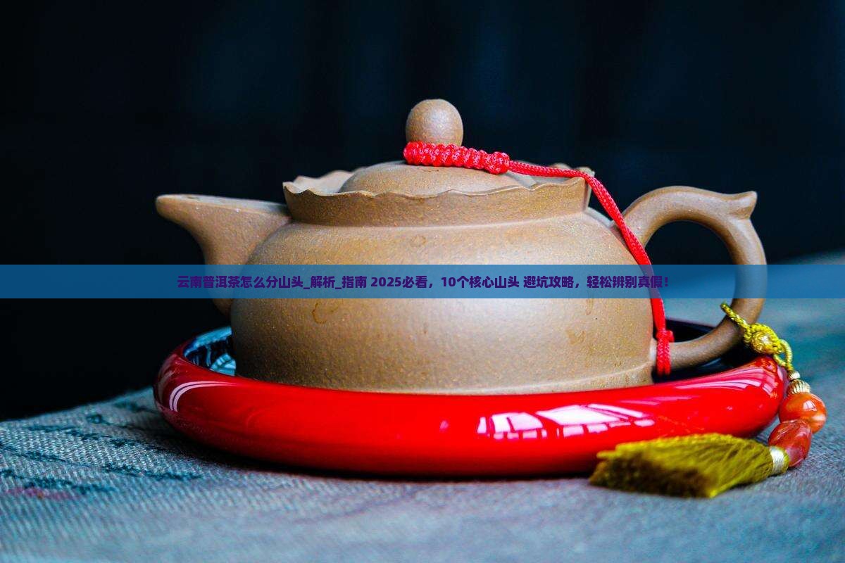 云南普洱茶怎么分山头