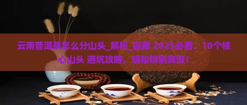 云南普洱茶怎么分山头