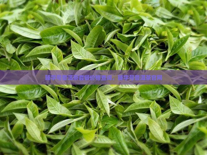 臻字号普洱茶套餐价格