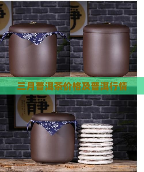 三月山普洱茶价格