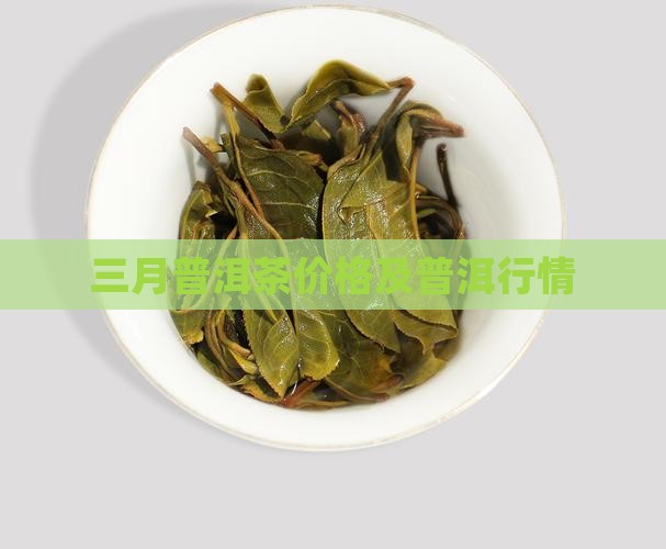 三月山普洱茶价格