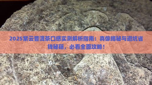 紫云普洱茶口感怎么样