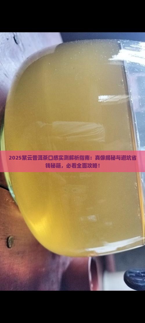 紫云普洱茶口感怎么样