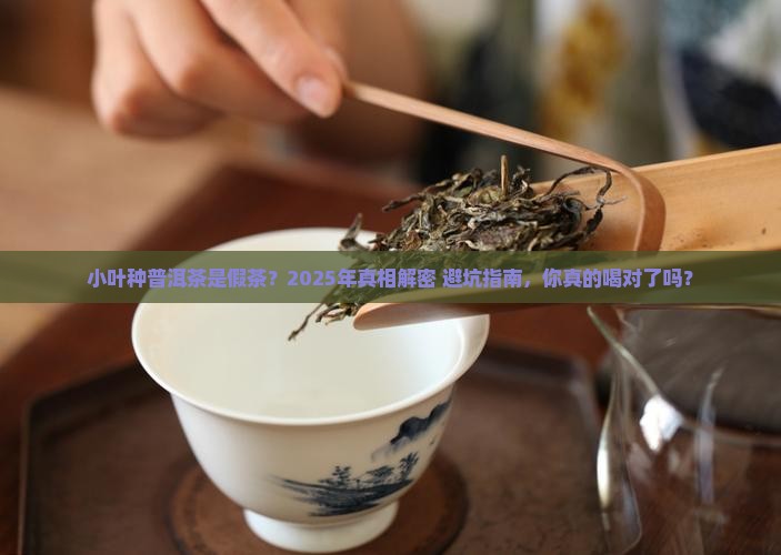 小叶种普洱茶是假茶吗