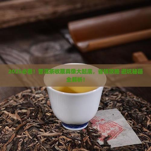 2016普洱茶值得购买藏