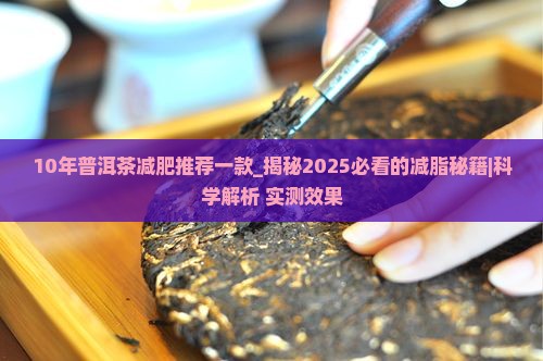 10年普洱茶减肥推荐一款