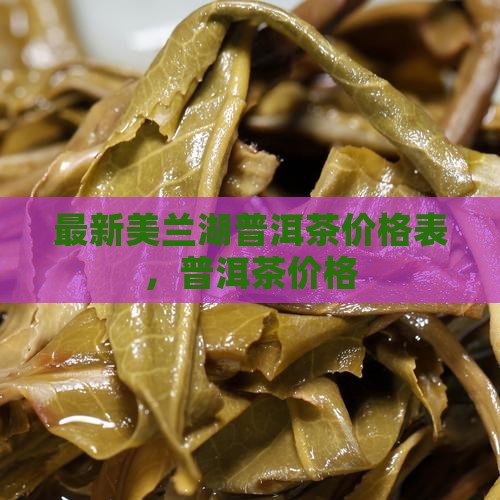 美兰湖普洱茶价格表