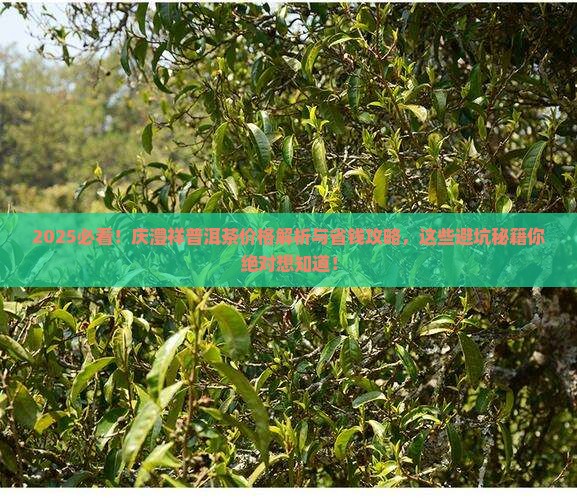 庆澧祥普洱茶价格多少钱