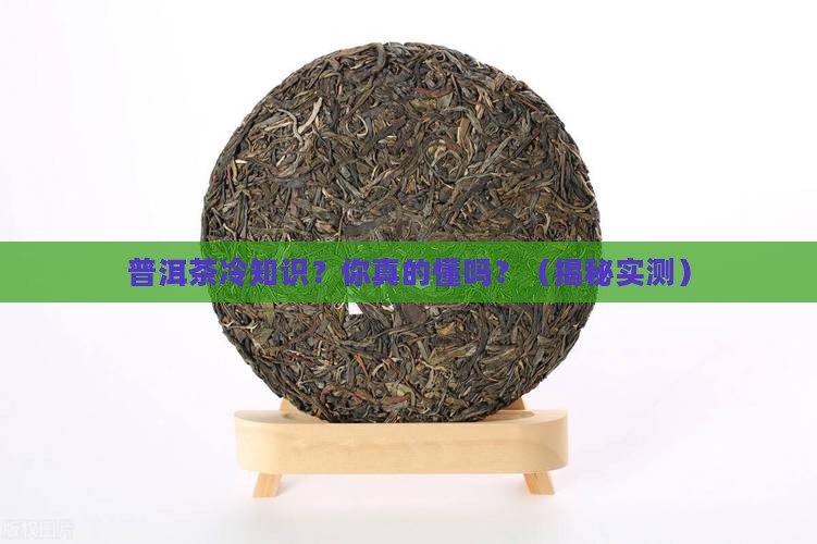 云南普洱茶冷知识