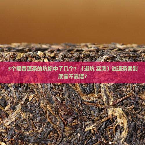 逍遥茶客普洱茶