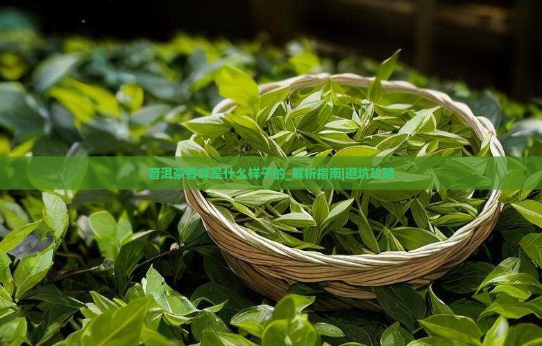 普洱茶香味是什么样子的