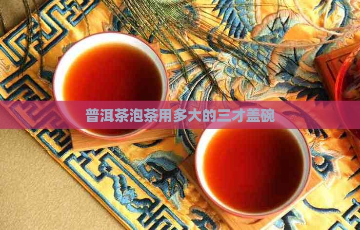 普洱茶泡茶多大的三才碗