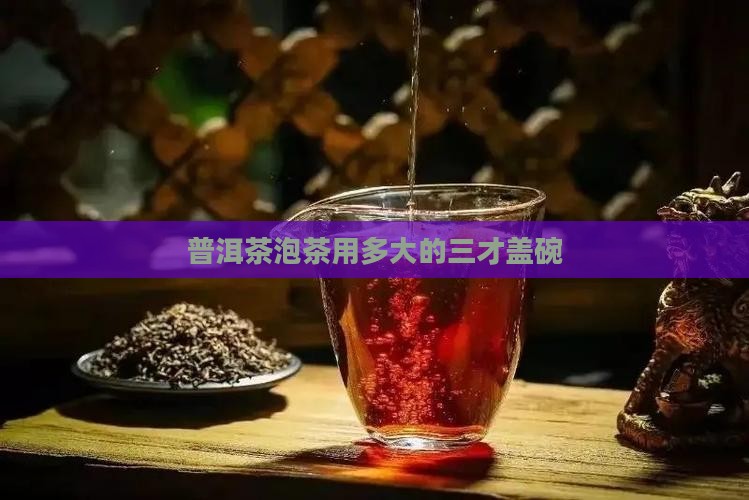 普洱茶泡茶多大的三才碗