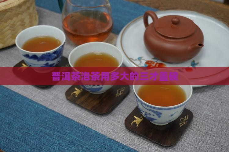 普洱茶泡茶多大的三才碗