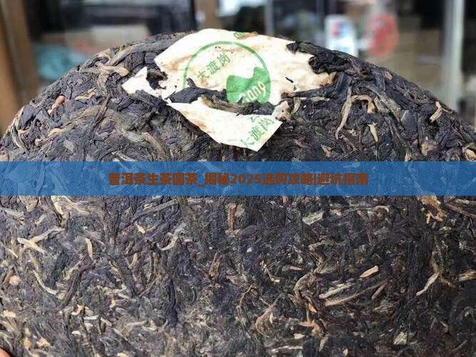 普洱茶生茶圆茶