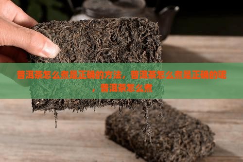 普洱茶怎么煮是正确的