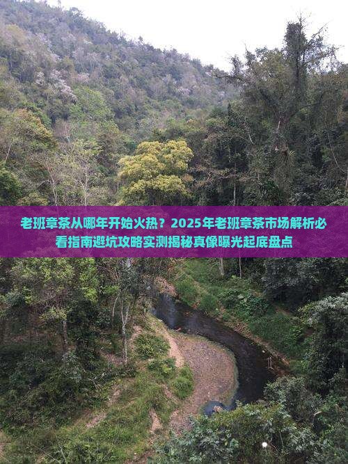 老班章茶从哪年开始火热