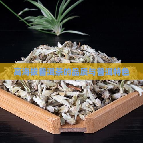 高海拨的普洱茶怎么样