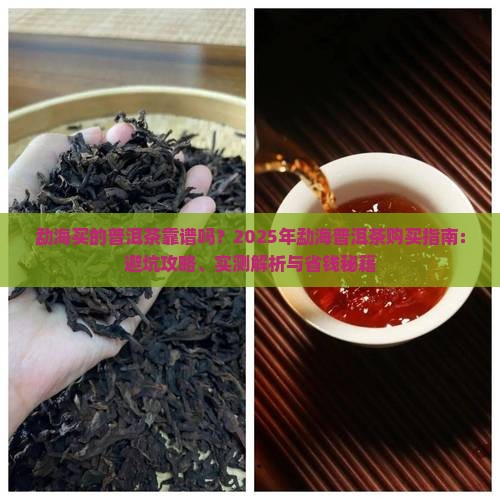 勐海买的普洱茶
