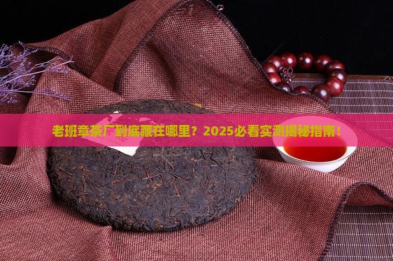 老班章茶厂在哪里