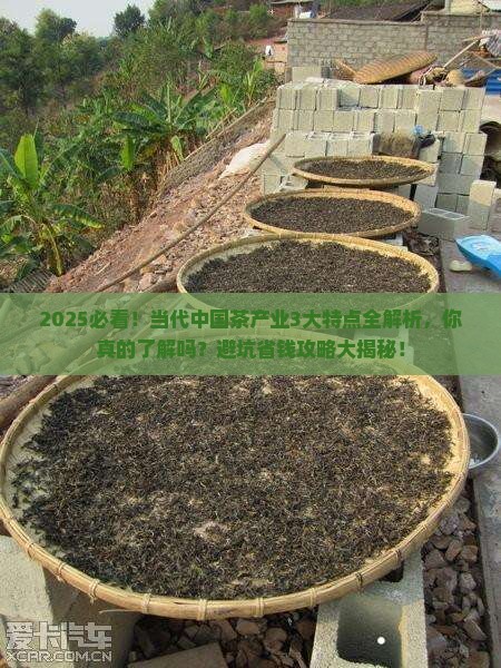 当代中国茶产业的主要特点